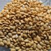 Bean, Hopi Yellow (Phaseolus vulgaris) packet of 10 seeds, organic - Image 3