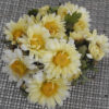 Chrysanthemum, Chinese Bo-ju-hua (Chrysanthemum morifolium) plant in a 9 inch pot, organic - Image 2