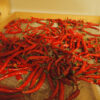 Pepper, Cayenne, Official (Capsicum frutescens) seeds, organic - Image 4