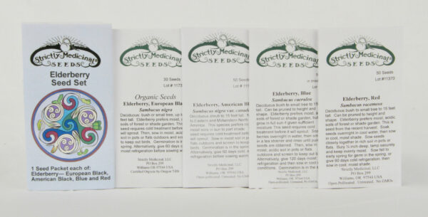 Elderberry Set (4 seed packets): Elderberries--European Black, American Black, Blue and Red