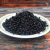 Eleuthero (Eleutherococcus senticosus), packet of 30 seeds