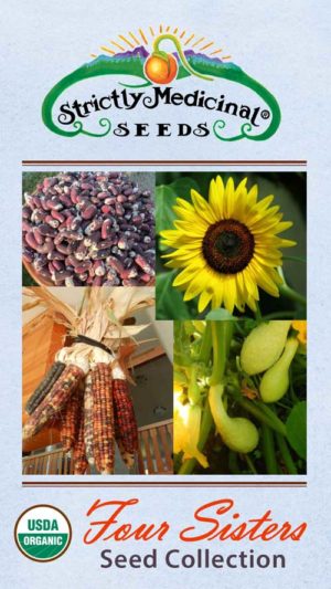 Four Sisters Seed Collection