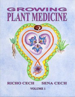 Growing Plant Medicine Book Cover