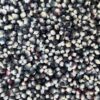 Corn, Hopi Blue (Zea mays), packet of 100 seeds, Organic - Image 8