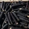 Corn, Hopi Blue (Zea mays), packet of 100 seeds, Organic