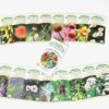 Glorious Garden, 48 full color medicinal herb seed packets, organic - Image 5