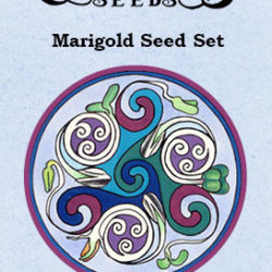 Marigold-Seed-Set