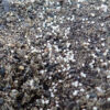 Poppy, Peshawar (Papaver somniferum var. album) seeds, organic - Image 3