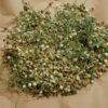 Chamomile, Roman (Chamaemelum nobile) seeds, organic - Image 7