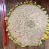 Sunflower, Russian Mammoth (Helianthus annuus) seeds, organic - Image 5