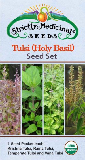 Tulsi Seed Set