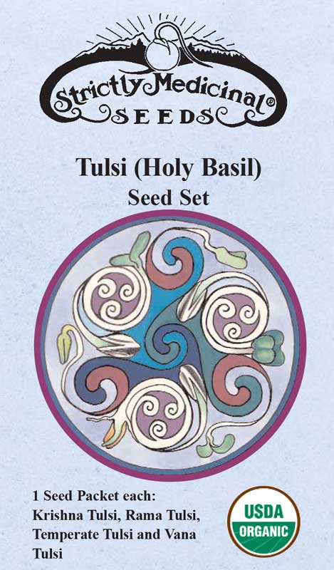 Tulsi Seed Set