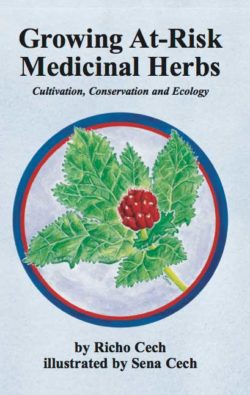 Growing At-Risk Medicinal Herbs Book Cover