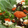Pepper, Thai Volcano (Capsicum frutescens) seeds, organic - Image 3