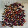 Guggul (Commiphora wightii), packet of 5 seeds, organic - Image 7