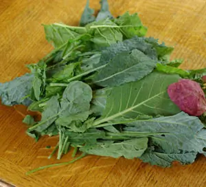Greens, Mixed Cooking, big 3 g packet of seeds, Organic
