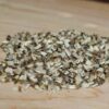 Echinacea angustifolia seeds, organic - Image 2