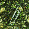 Lobelia, Official (Lobelia inflata) seeds, organic - Image 3