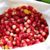 Oca, Mixed Colors (Oxalis tuberosa) potted plant, organic - Image 3