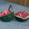 Watermelon, Moon and Stars (Citrullus lanatus) seeds, organic