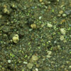Wormwood, Absinthe (Artemisia absinthium) seeds, organic [SD, WA no] - Image 4