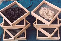 Stainless Steel and Cedar Seed Cleaning Screens, Set of 8 FREE Shipping - Image 4