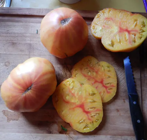 Tomato, Old German (Lycopersicon esculentum), packet of 30 seeds, organic