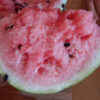 Watermelon, Sugar Baby (Citrullus lanatus) seeds, organic