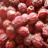 Hawthorn, Wild Form (Crataegus monogyna) seeds, organic - Image 7