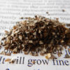 Sida acuta, packet of 20 seeds, Organic - Image 2