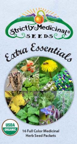 Extra Essentials Medicinal Herb Seed Collection