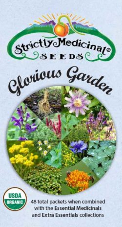 Glorious Garden Medicinal Herb Seed Collection