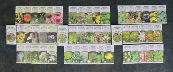 Glorious Garden, 48 full color medicinal herb seed packets, organic - Image 3