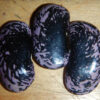 Bean, Shinshu Runner (Phaseolus coccineus), packet of 3 seeds, organic - Image 4