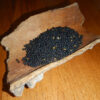 Prickly Ash, Southern (Zanthoxylum clava-herculis) packet of 10 seeds - Image 2