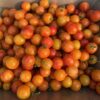 Tomato, Cherry, Goddess of the Moon (Lycopersicon esculentum), packet of 30 seeds, organic - Image 3