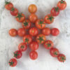 Tomato, Cherry, Goddess of the Moon (Lycopersicon esculentum), packet of 30 seeds, organic
