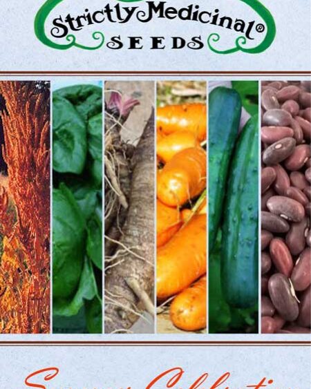 Summer-Celebration-Seed-Collection-2025
