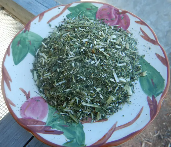 Bidens pilosa, Dried Flowering Herb, 50 g bag, organic