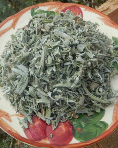 Garden Sage (Salvia officinalis), dried herb, 50 g bag, organic