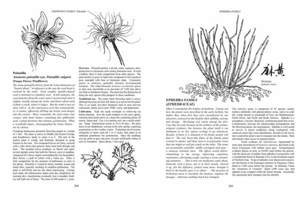 Growing-Plant-Medicine-By-Richo-Cech-Pg-298-299