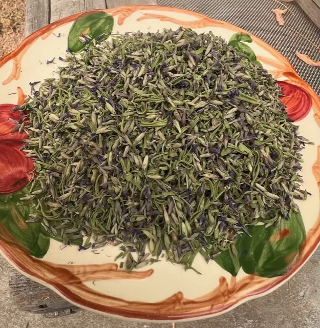 Hyssop, Official (Hyssopus officinalis) seeds, organic - Image 3