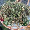 Lobelia (Lobelia inflata) Dried Plant in Seed Pod Stage, Whole Form, 30 gram bag, Organic