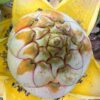 Banana, Golden Lotus (Musella lasiocarpa), packet of  5 seeds - Image 7