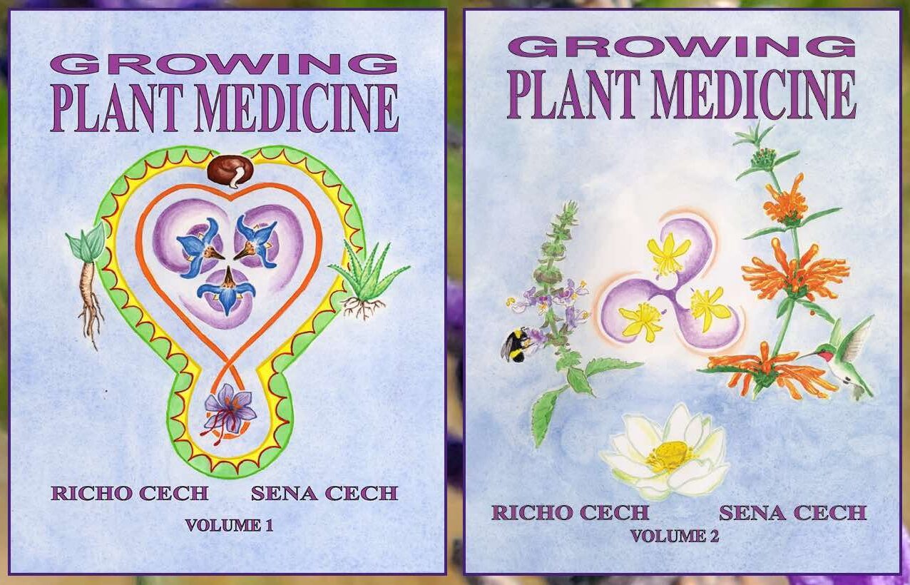 Growing Plant Medicine Set -- Vols 1 and 2, complete