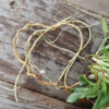 Sorrel, Sheep (Sheep Sorrel) (Rumex acetosella) seeds, organic - Image 2